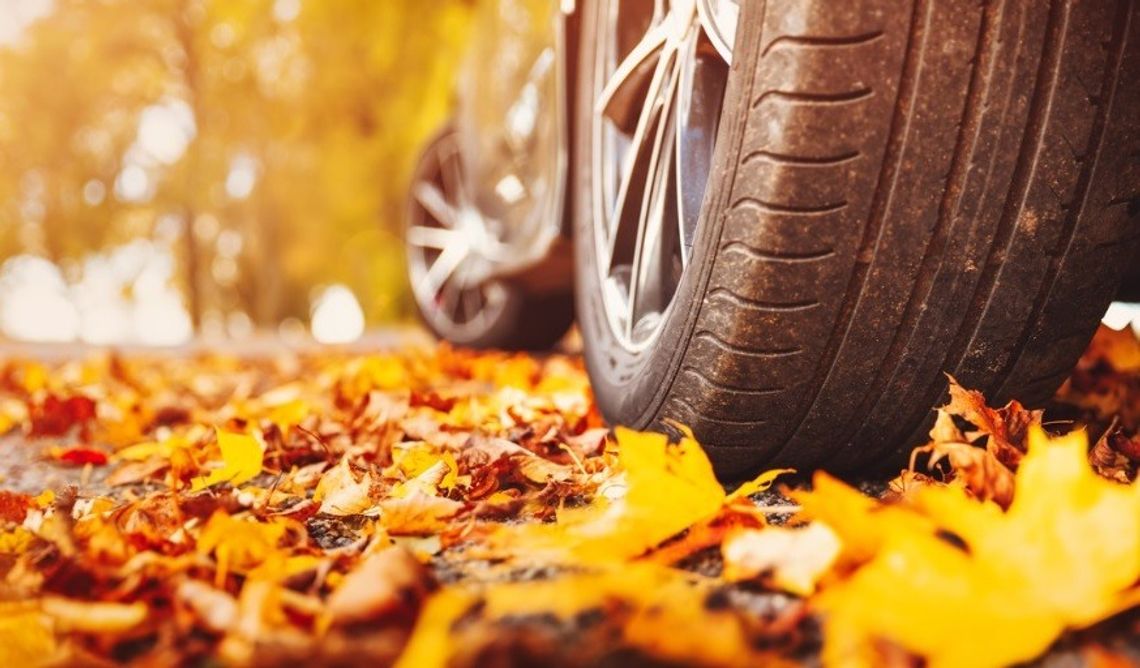 Der Herbst kommt – wie schützt man den Autolack richtig?